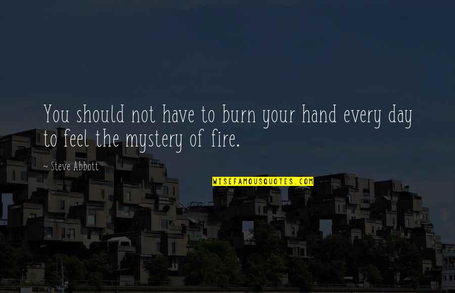Fire In Hand Quotes By Steve Abbott: You should not have to burn your hand