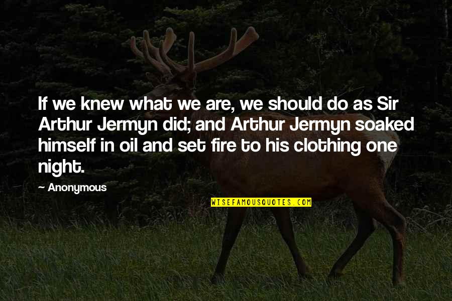 Fire In Night Quotes By Anonymous: If we knew what we are, we should