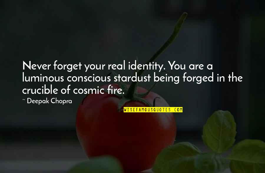 Fire In The Crucible Quotes By Deepak Chopra: Never forget your real identity. You are a Fire In The Crucible Quotes By Deepak Chopra: Never forget your real identity. You are a