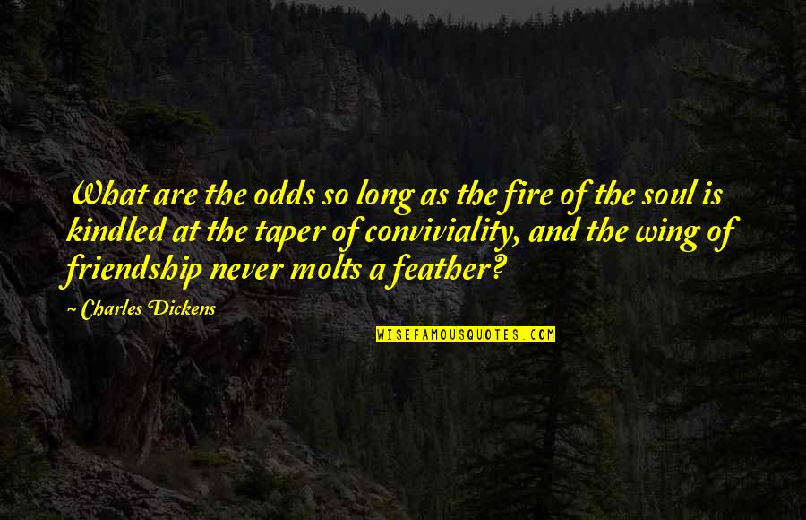 Fire In Your Soul Quotes By Charles Dickens: What are the odds so long as the