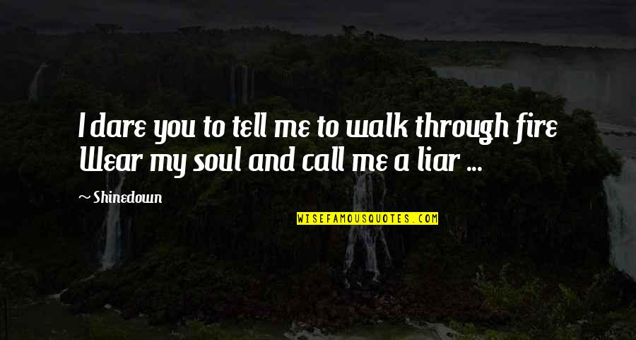 Fire In Your Soul Quotes By Shinedown: I dare you to tell me to walk