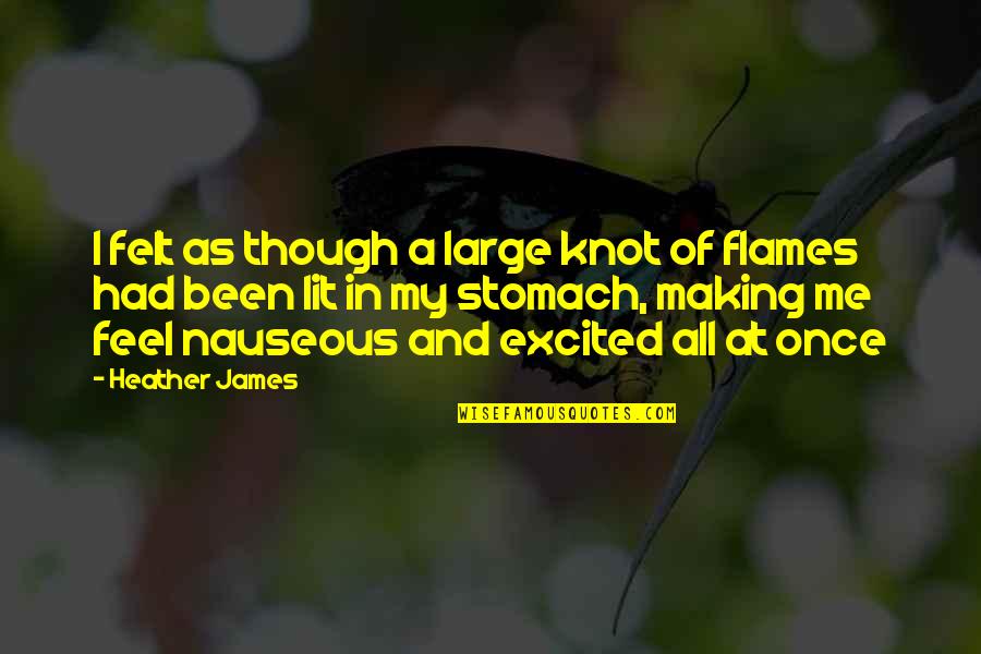 Fire Lit Quotes By Heather James: I felt as though a large knot of