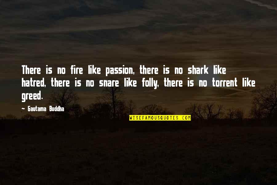 Fire Of Hatred Quotes By Gautama Buddha: There is no fire like passion, there is