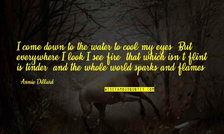 Fire On Eyes Quotes By Annie Dillard: I come down to the water to cool