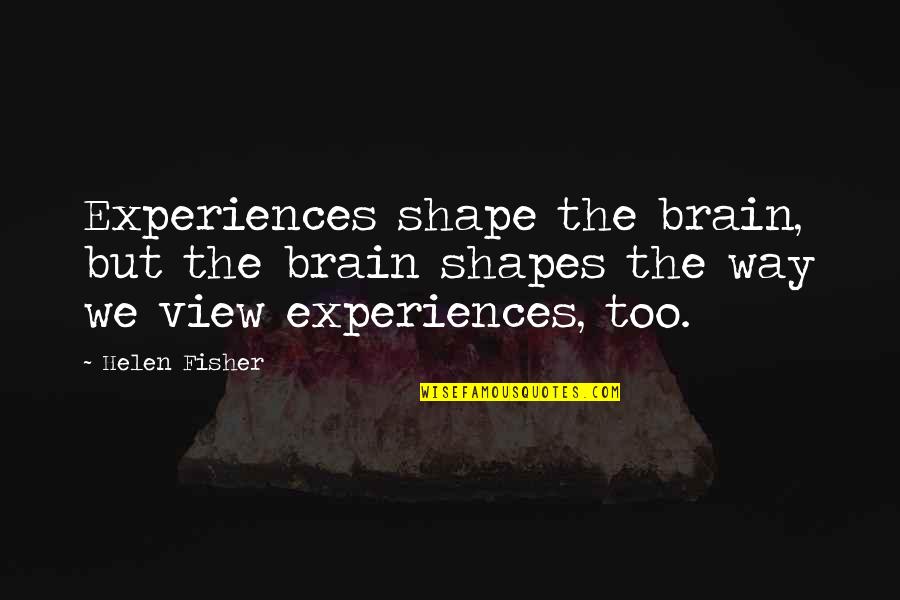 Fire Plugs Quotes By Helen Fisher: Experiences shape the brain, but the brain shapes