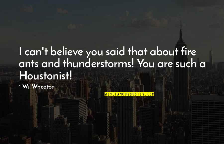 Fire Quotes By Wil Wheaton: I can't believe you said that about fire