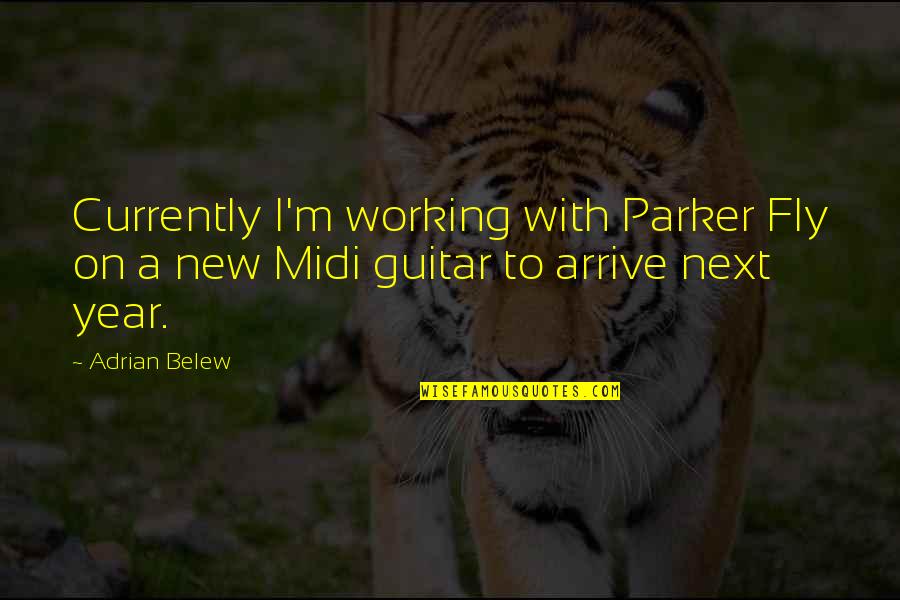 Fire Raging Quotes By Adrian Belew: Currently I'm working with Parker Fly on a