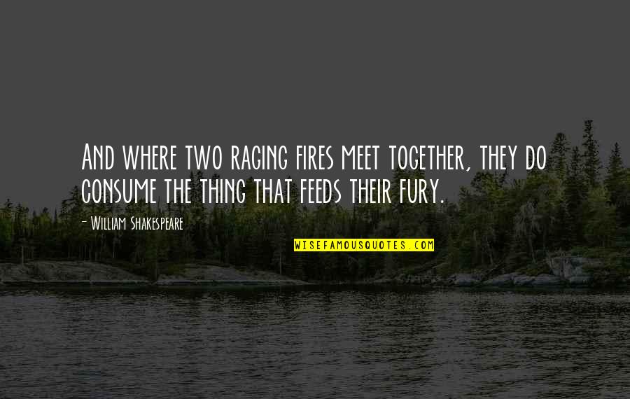 Fire Raging Quotes By William Shakespeare: And where two raging fires meet together, they