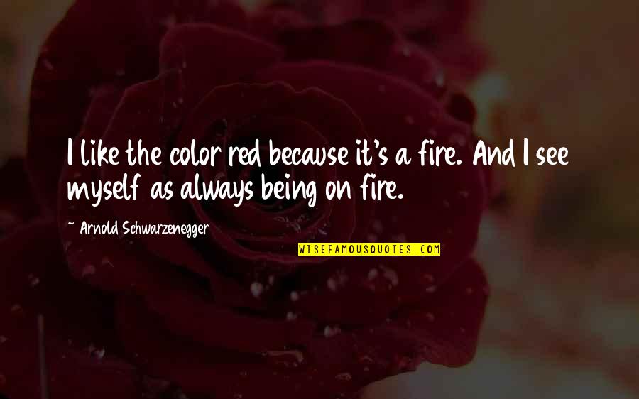 Fire Red Quotes By Arnold Schwarzenegger: I like the color red because it's a