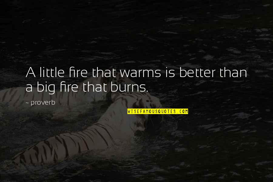 Fire That Burns Quotes By Proverb: A little fire that warms is better than