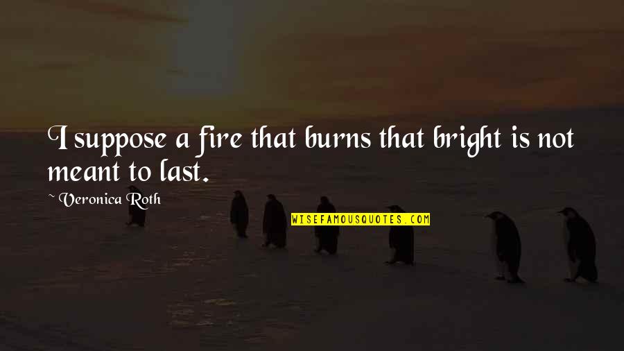 Fire That Burns Quotes By Veronica Roth: I suppose a fire that burns that bright