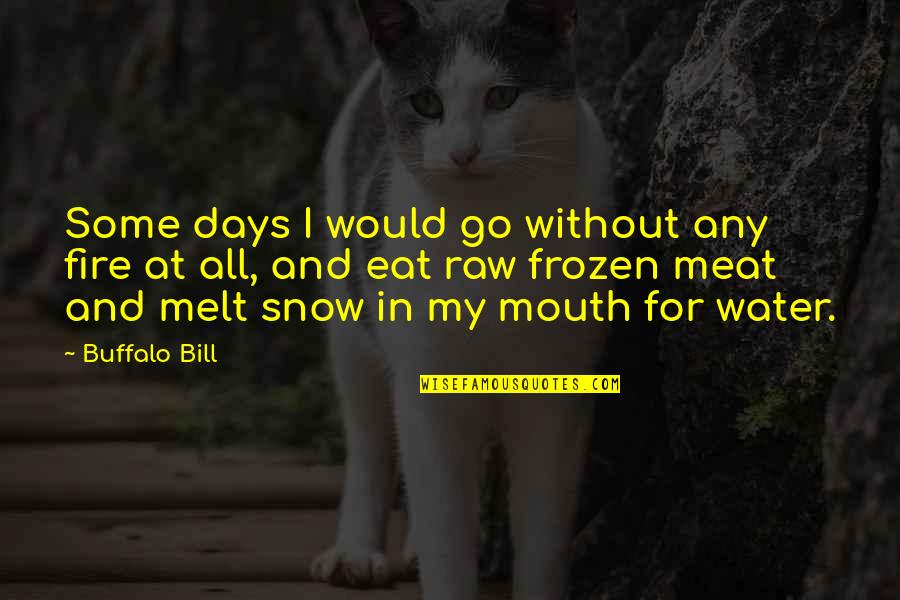 Fire Water Quotes By Buffalo Bill: Some days I would go without any fire