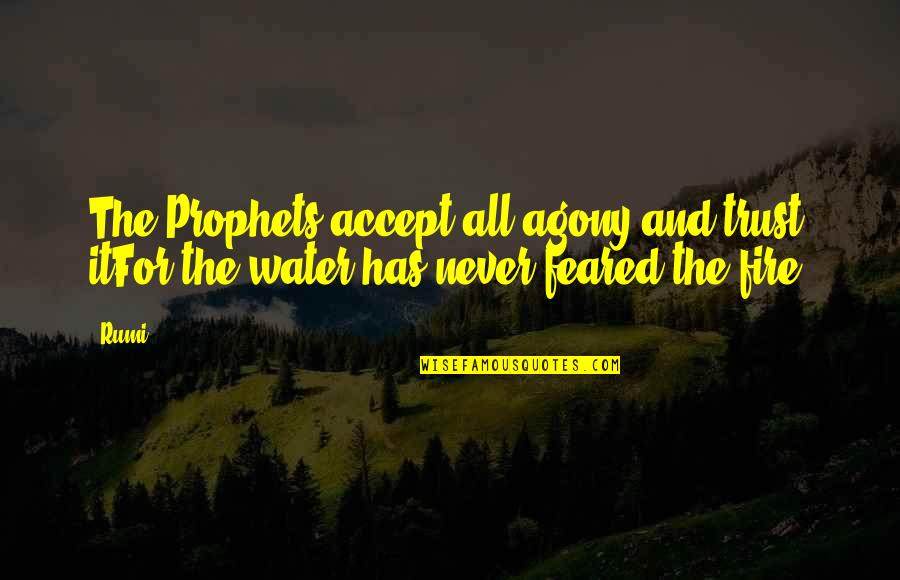 Fire Water Quotes By Rumi: The Prophets accept all agony and trust itFor