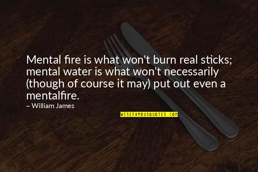 Fire Water Quotes By William James: Mental fire is what won't burn real sticks;