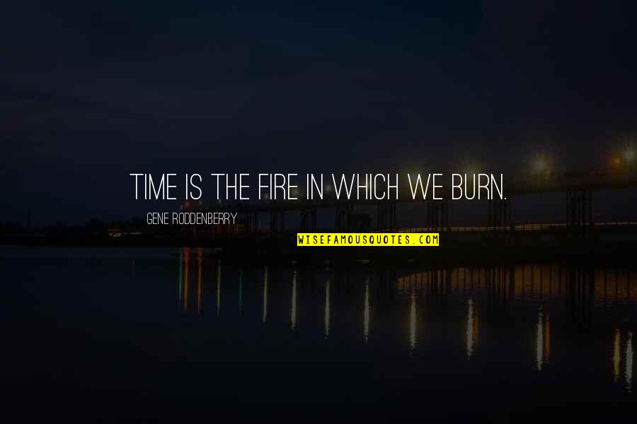Fire Which Quotes By Gene Roddenberry: Time is the fire in which we burn.