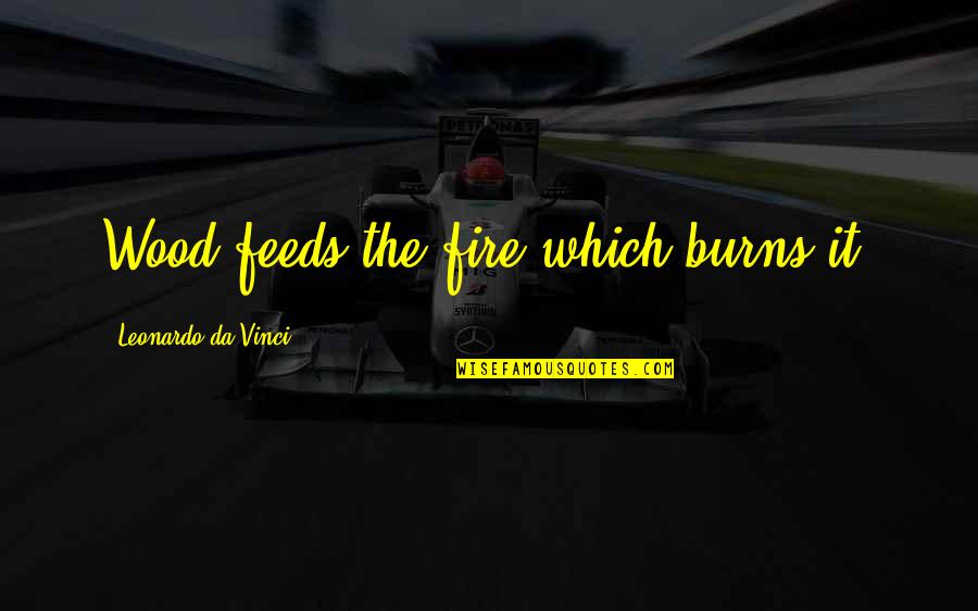 Fire Which Quotes By Leonardo Da Vinci: Wood feeds the fire which burns it.