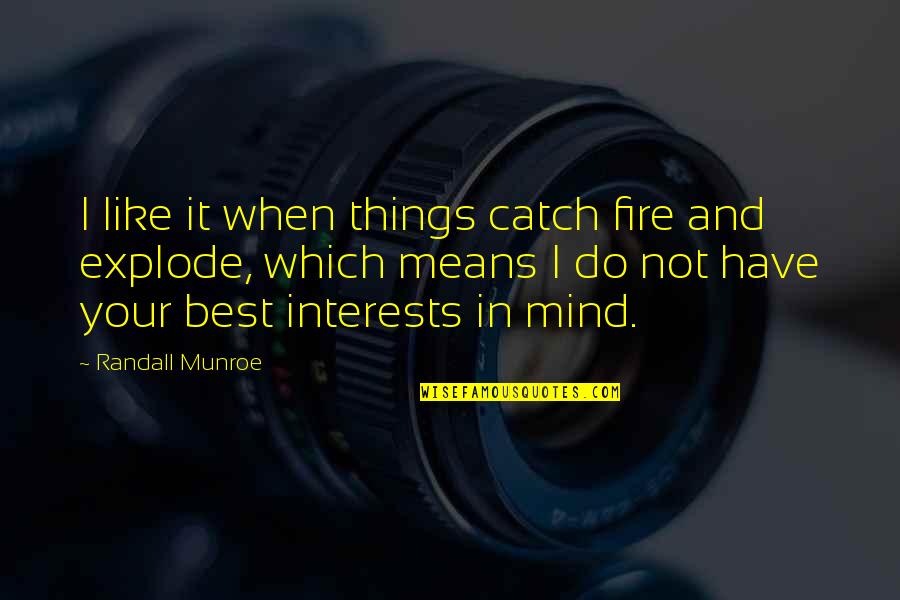 Fire Which Quotes By Randall Munroe: I like it when things catch fire and