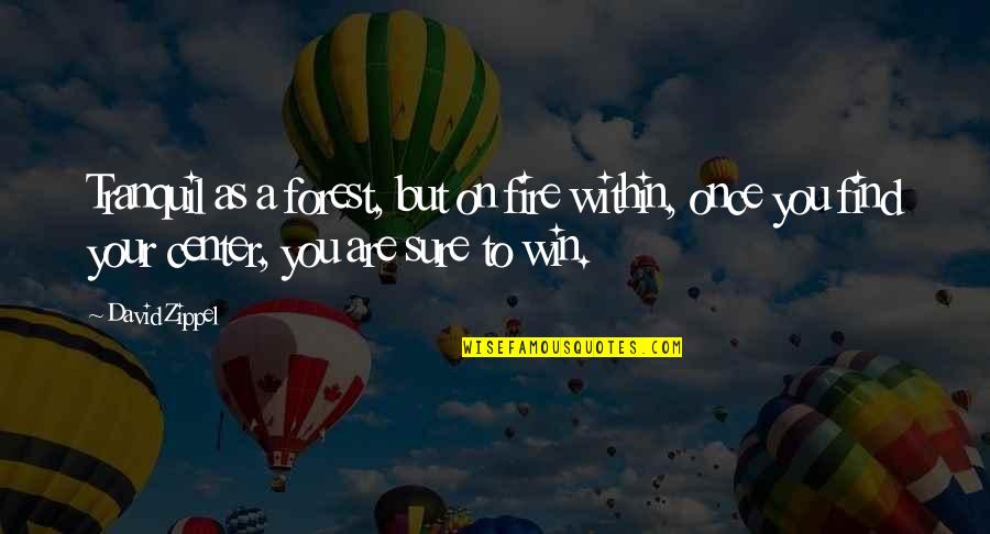 Fire Within Quotes By David Zippel: Tranquil as a forest, but on fire within, Fire Within Quotes By David Zippel: Tranquil as a forest, but on fire within,
