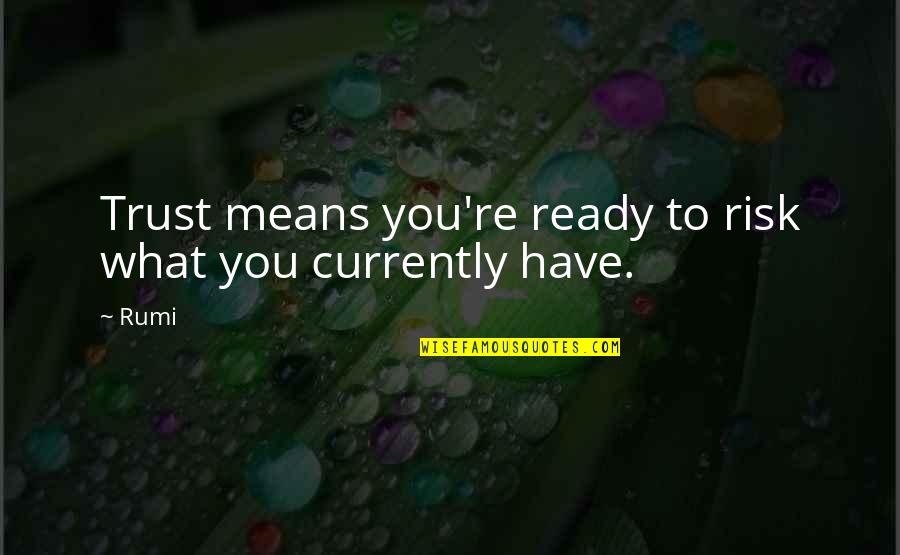 Fireboat Youtube Quotes By Rumi: Trust means you're ready to risk what you