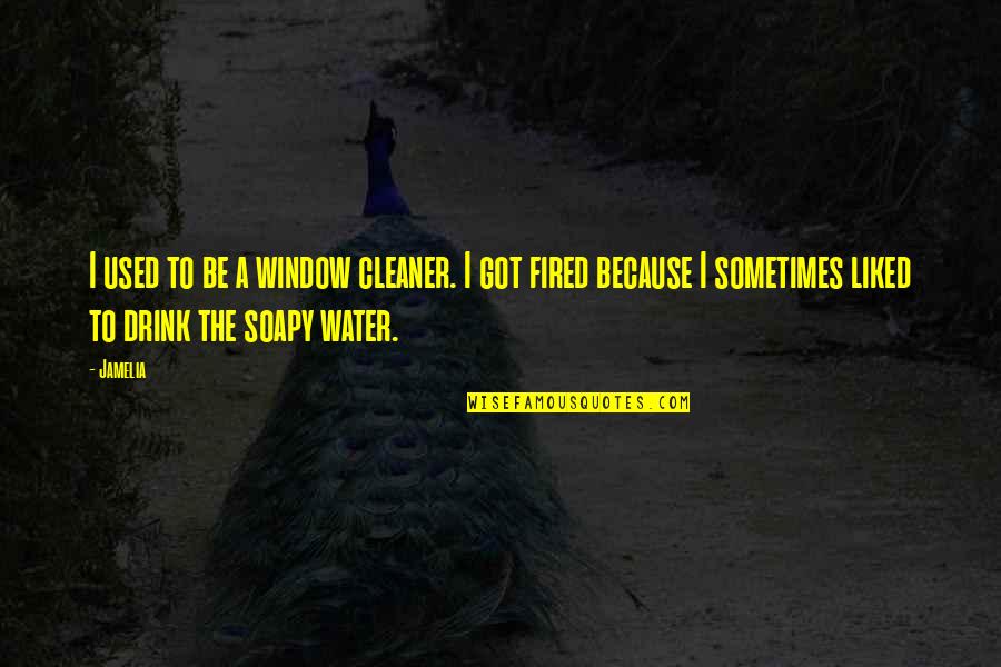 Fired Quotes By Jamelia: I used to be a window cleaner. I