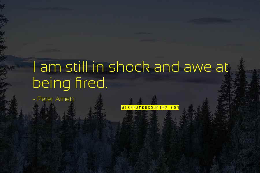 Fired Quotes By Peter Arnett: I am still in shock and awe at