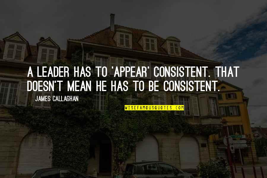 Fireflakes Quotes By James Callaghan: A leader has to 'appear' consistent. That doesn't