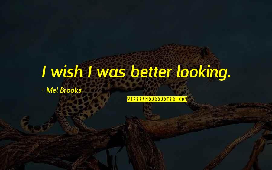 Fireflight Unbreakable Lyrics Quotes By Mel Brooks: I wish I was better looking.