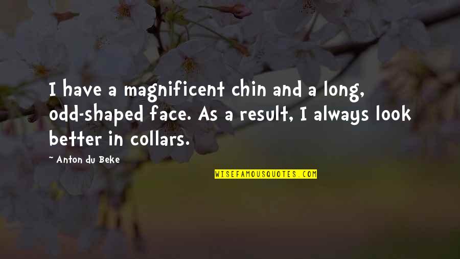 Fireheart And Sandstorm Quotes By Anton Du Beke: I have a magnificent chin and a long, Fireheart And Sandstorm Quotes By Anton Du Beke: I have a magnificent chin and a long,