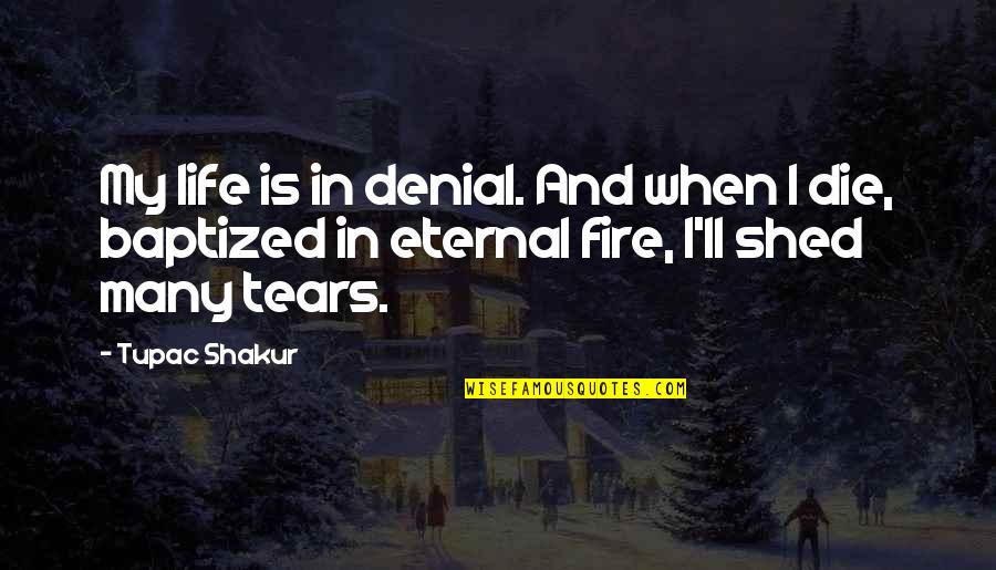 Fire'll Quotes By Tupac Shakur: My life is in denial. And when I
