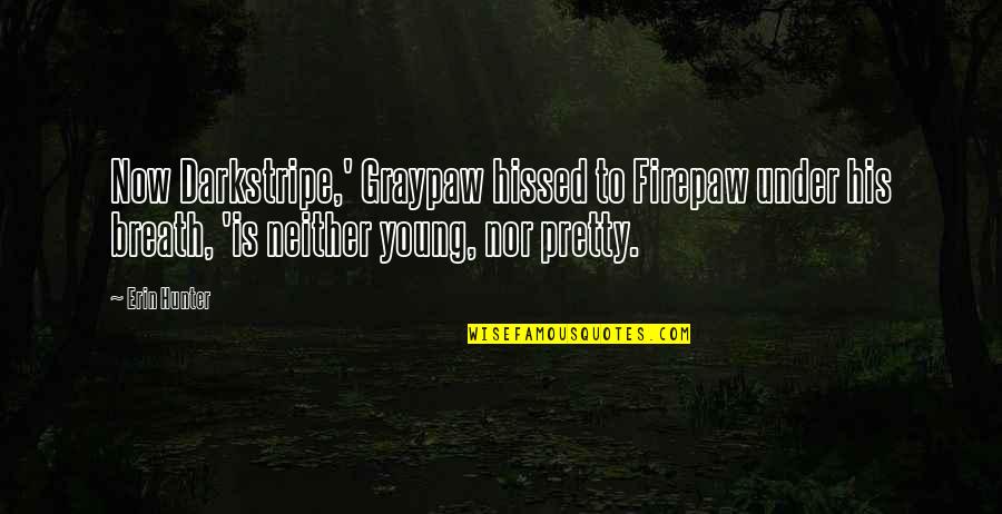 Firepaw's Quotes By Erin Hunter: Now Darkstripe,' Graypaw hissed to Firepaw under his Firepaw's Quotes By Erin Hunter: Now Darkstripe,' Graypaw hissed to Firepaw under his