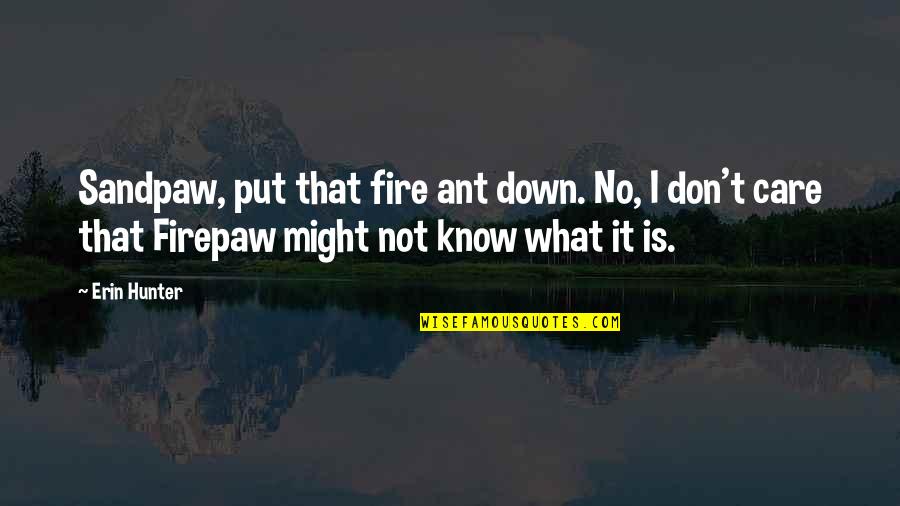 Firepaw's Quotes By Erin Hunter: Sandpaw, put that fire ant down. No, I Firepaw's Quotes By Erin Hunter: Sandpaw, put that fire ant down. No, I