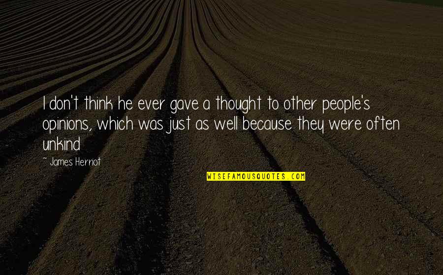 Firepower Quotes By James Herriot: I don't think he ever gave a thought