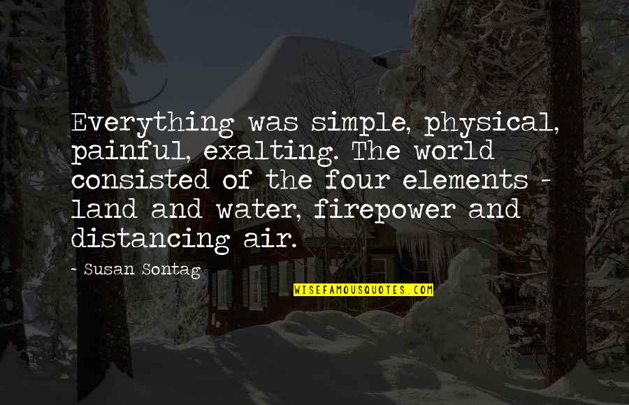 Firepower Quotes By Susan Sontag: Everything was simple, physical, painful, exalting. The world