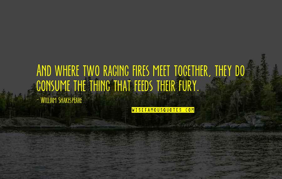 Fires'n Quotes By William Shakespeare: And where two raging fires meet together, they Fires'n Quotes By William Shakespeare: And where two raging fires meet together, they