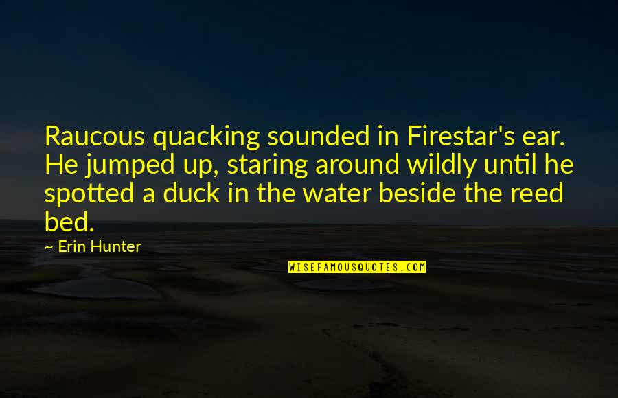 Firestar's Best Quotes By Erin Hunter: Raucous quacking sounded in Firestar's ear. He jumped