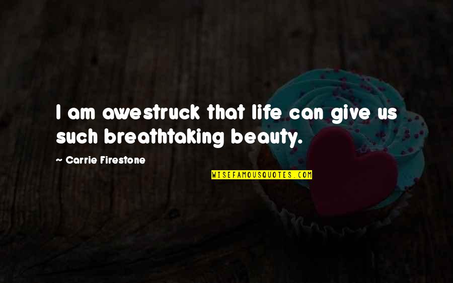 Firestone Quotes By Carrie Firestone: I am awestruck that life can give us