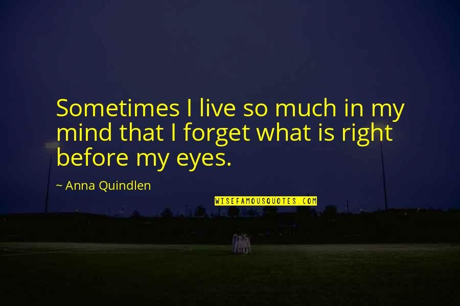 Firey Quotes By Anna Quindlen: Sometimes I live so much in my mind