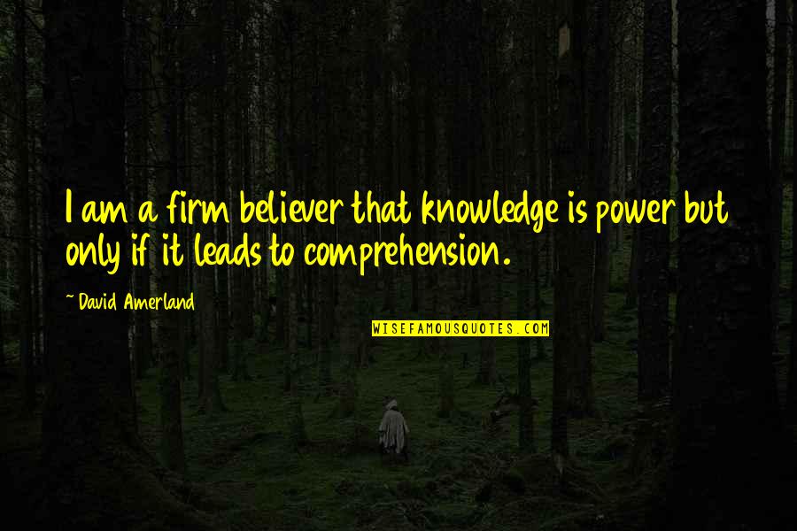 Firm Believer Quotes By David Amerland: I am a firm believer that knowledge is