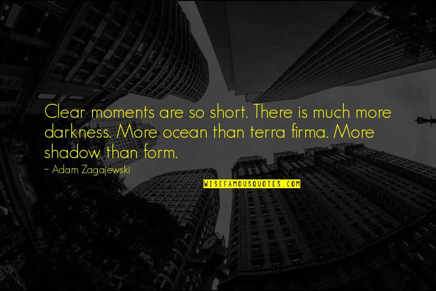Firma Quotes By Adam Zagajewski: Clear moments are so short. There is much