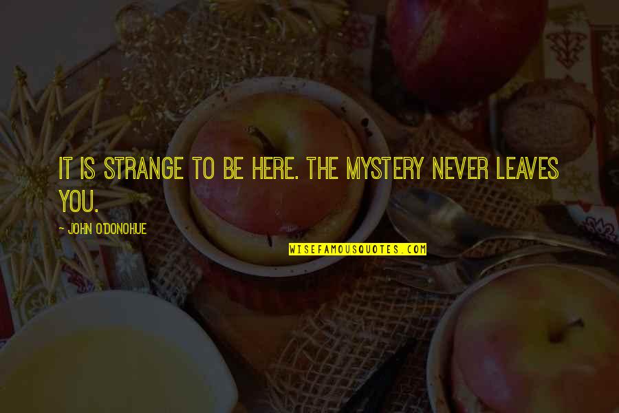 Firmages Quotes By John O'Donohue: It is strange to be here. The mystery