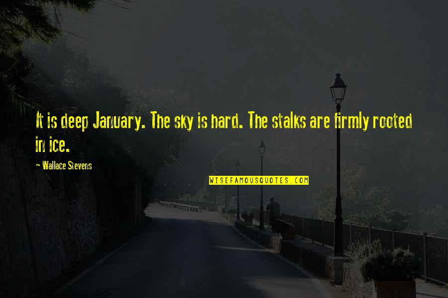 Firmly Quotes By Wallace Stevens: It is deep January. The sky is hard.