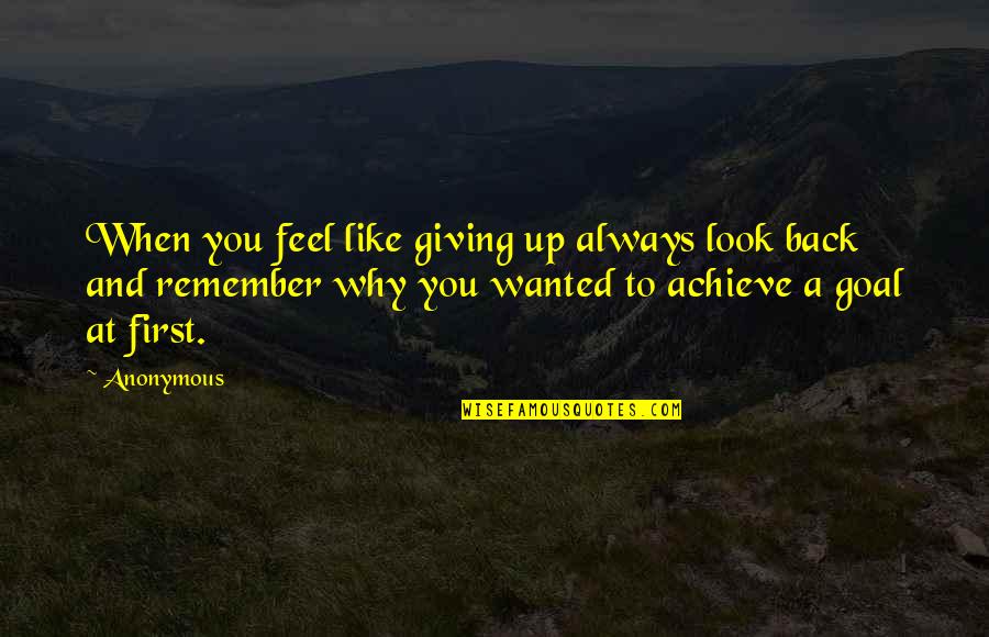 First And Goal Quotes By Anonymous: When you feel like giving up always look