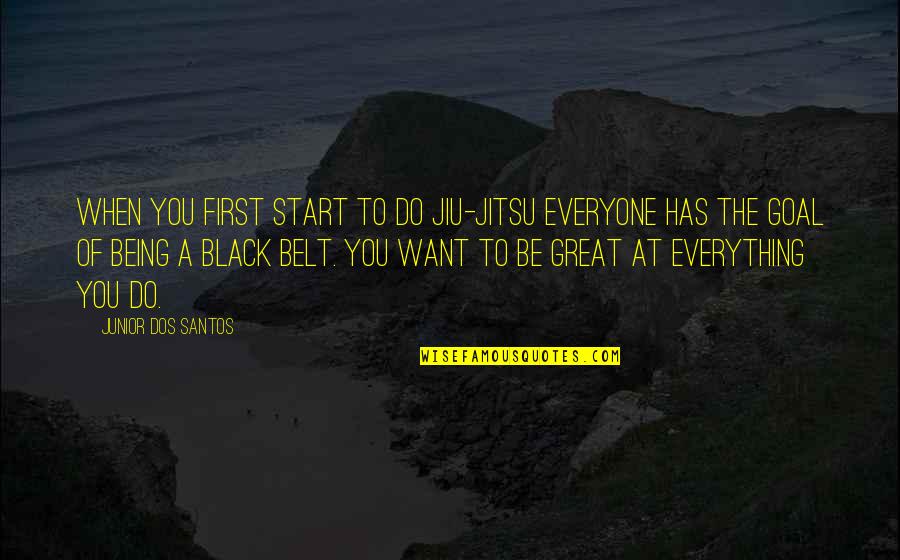 First And Goal Quotes By Junior Dos Santos: When you first start to do jiu-jitsu everyone