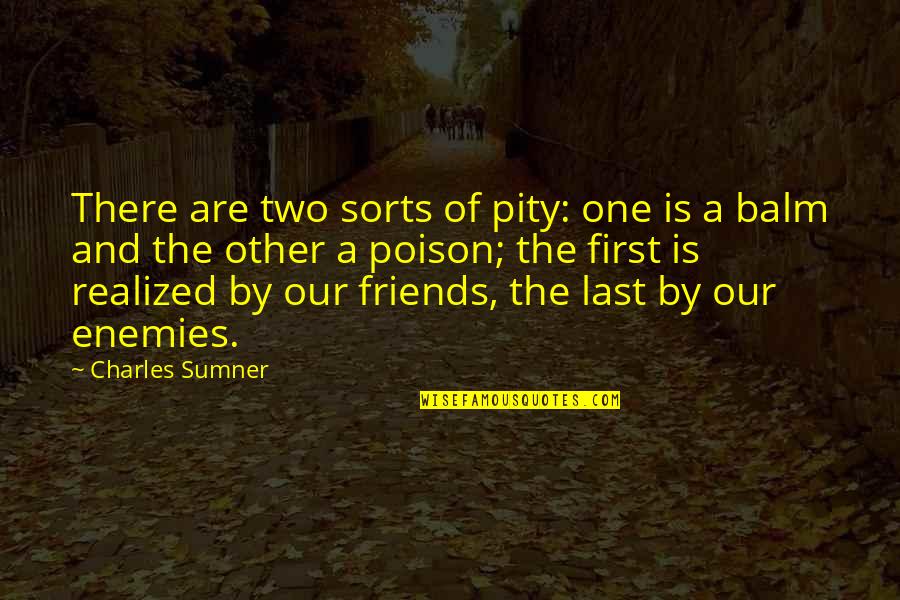First And Last Quotes By Charles Sumner: There are two sorts of pity: one is