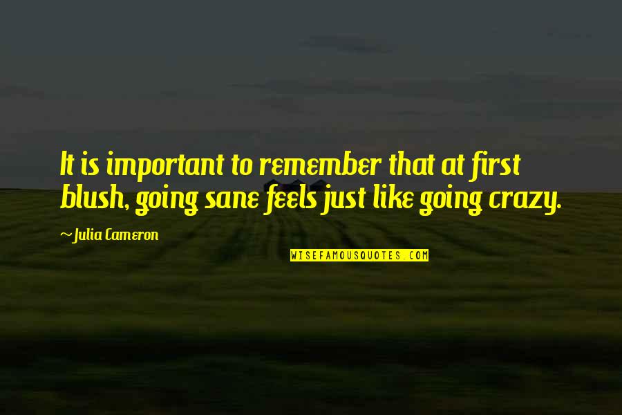 First Blush Quotes By Julia Cameron: It is important to remember that at first