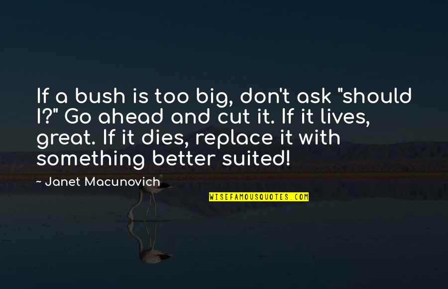 First Day I Laid Eyes On You Quotes By Janet Macunovich: If a bush is too big, don't ask First Day I Laid Eyes On You Quotes By Janet Macunovich: If a bush is too big, don't ask