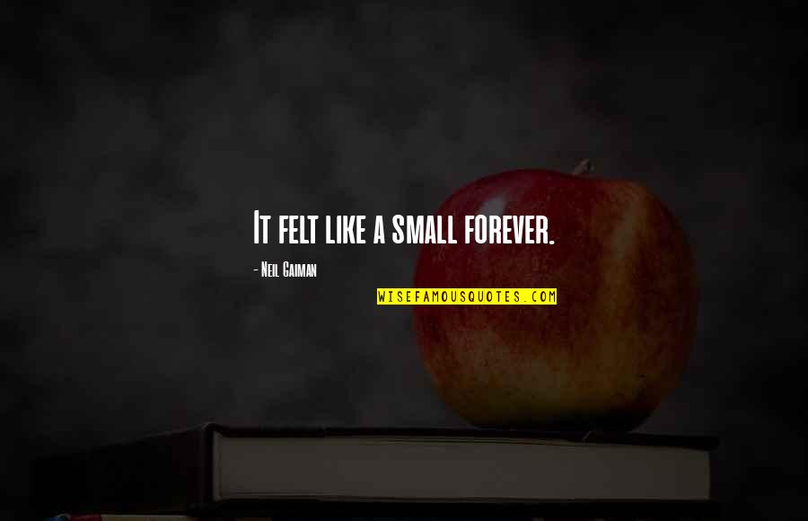 First Day Of Teaching Quotes By Neil Gaiman: It felt like a small forever.