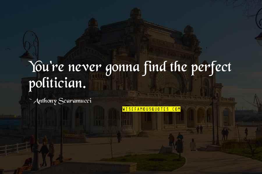 First Death Anniversary Quotes By Anthony Scaramucci: You're never gonna find the perfect politician.