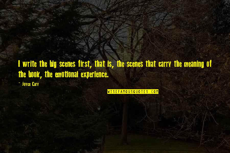 First Experience Quotes By Joyce Cary: I write the big scenes first, that is,