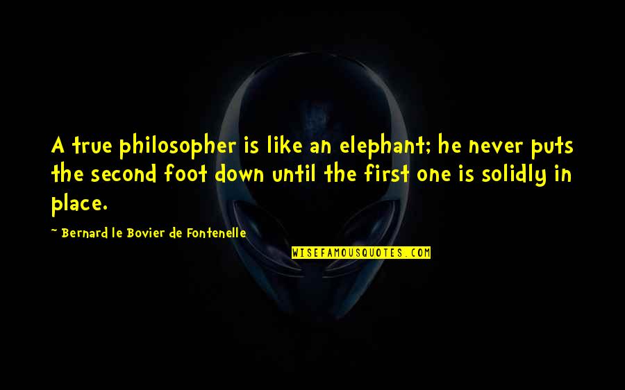 First Foot Quotes By Bernard Le Bovier De Fontenelle: A true philosopher is like an elephant; he